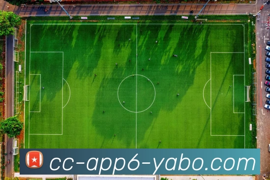 亚博体育服务体系